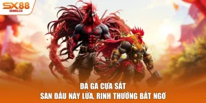 Đá Gà Cựa Sắt - Sàn Đấu Nảy Lửa, Rinh Thưởng Bất Ngờ