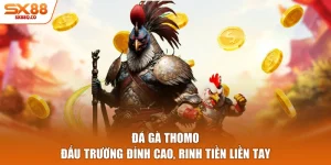 Đá Gà Thomo - Đấu Trường Đỉnh Cao, Rinh Tiền Liền Tay